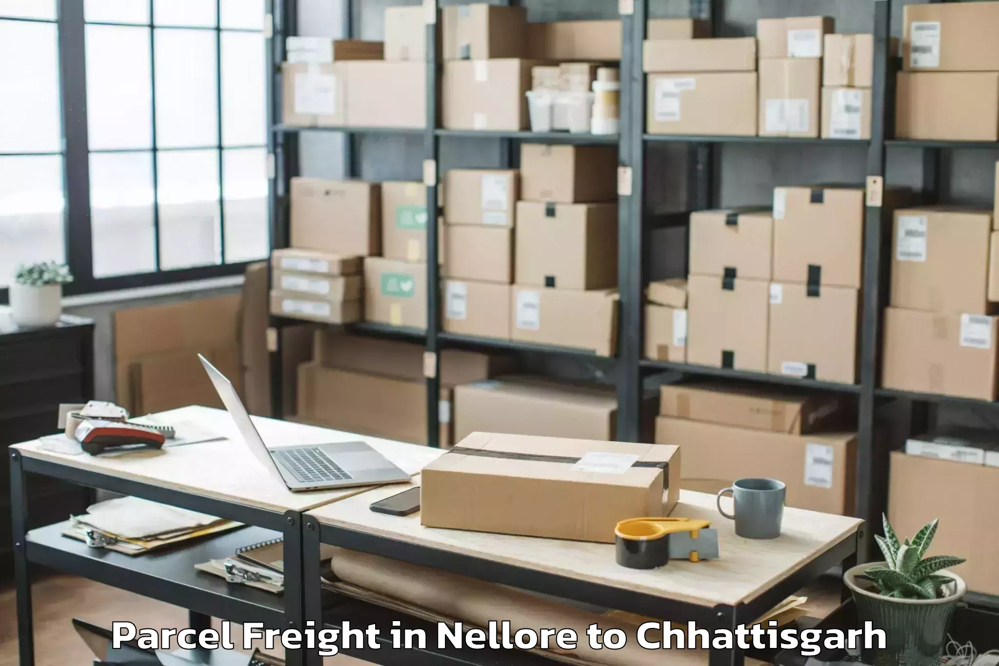 Discover Nellore to Icfai University Raipur Durg Parcel Freight